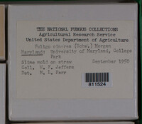 Image Associated With the Occurence